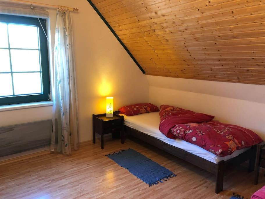 Trollhus - Grosses Familienfreundliches Ferienhaus Born Kültér fotó